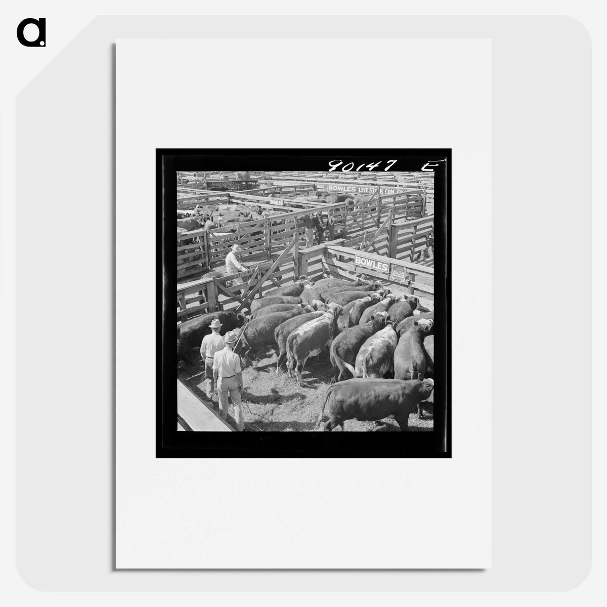 3-39_Marion-Post-Wolcott_picture