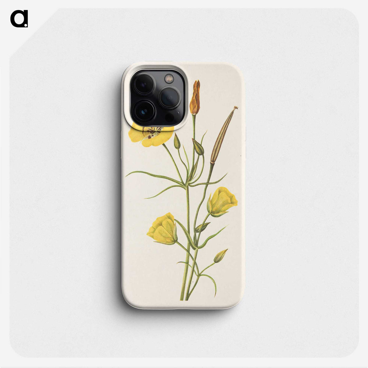 3-39_Mary-Vaux-Walcott_phone