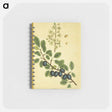 アートメモ帳-Prunus damascena
 - 国立医学図書館 Memo.