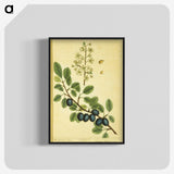 3-39_National-Library-of-Medicine_blk-crop