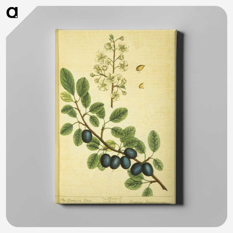 3-39_National-Library-of-Medicine_canvas