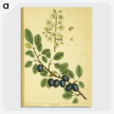 3-39_National-Library-of-Medicine_picture-crop