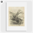 3-39_Odilon-Redon_picture