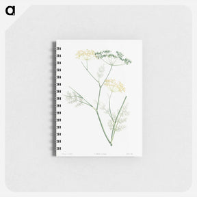 アートメモ帳-Fennel flowering plant - ピエール ジョゼフ ルドゥーテ Memo.