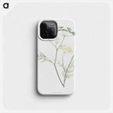 Fennel flowering plant - ピエール ジョゼフ ルドゥーテ Phone Case.