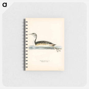 アートメモ帳-Podiceps Cristatus
 - スヴェンスカ フォグラル Memo.