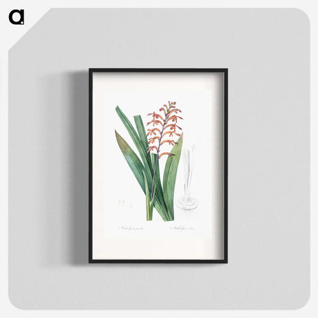 3-39_The-Lilies_blk