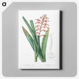 3-39_The-Lilies_canvas