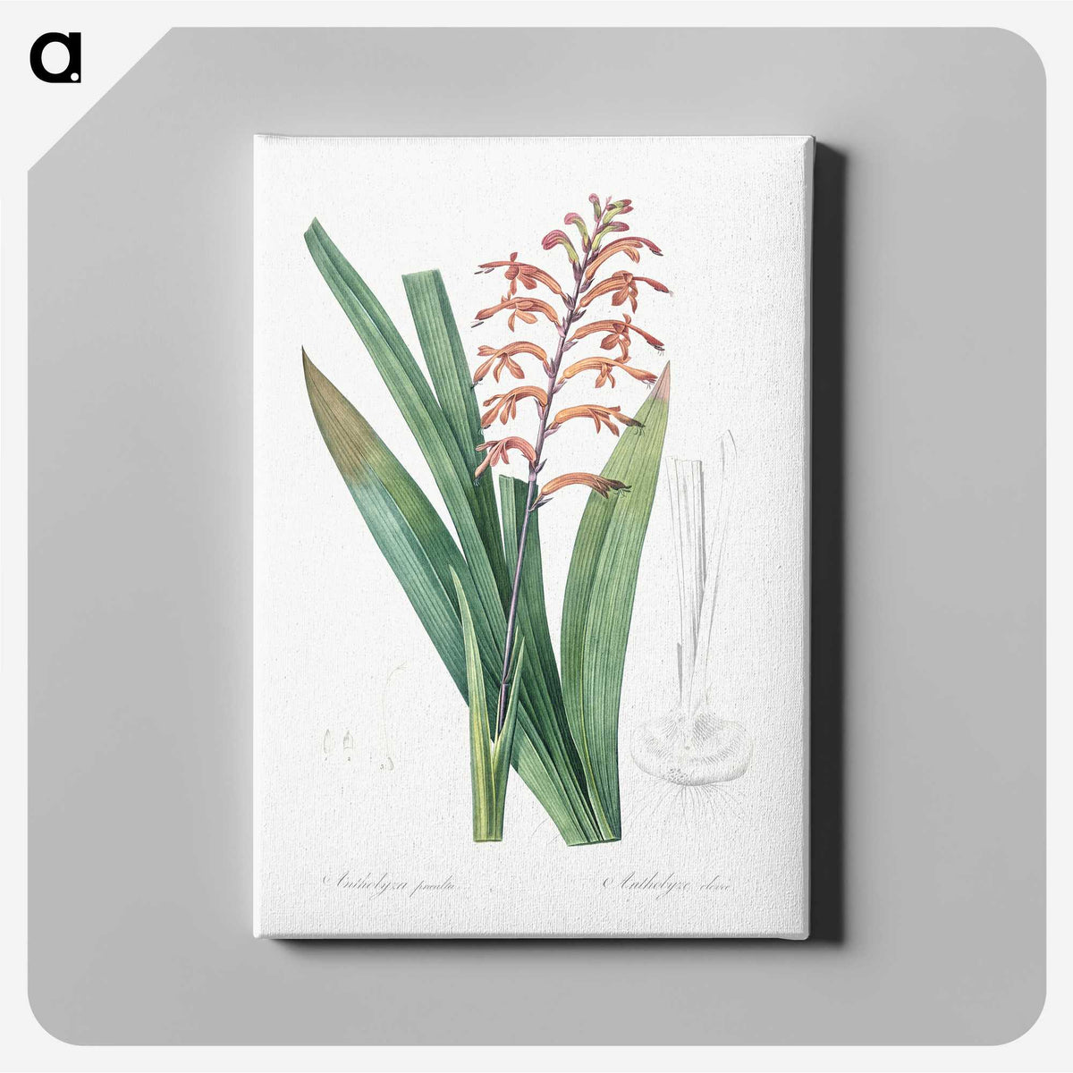3-39_The-Lilies_canvas