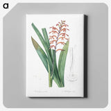 3-39_The-Lilies_canvas
