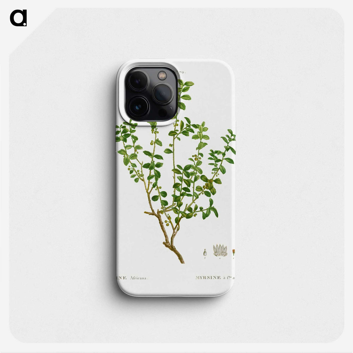 3-39_Treatise-on-Trees-and-Shrubs_phone