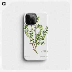 3-39_Treatise-on-Trees-and-Shrubs_phone