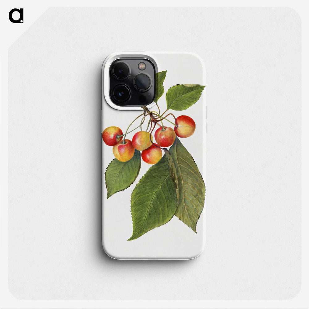 3-39_USDA-Watercolor-Fruit-Painting-Collection_phone