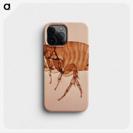 3-3_COVID-19_phone