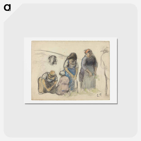 アートポストカード-Pea Harvesters - カミーユ ピサロ Postcard.