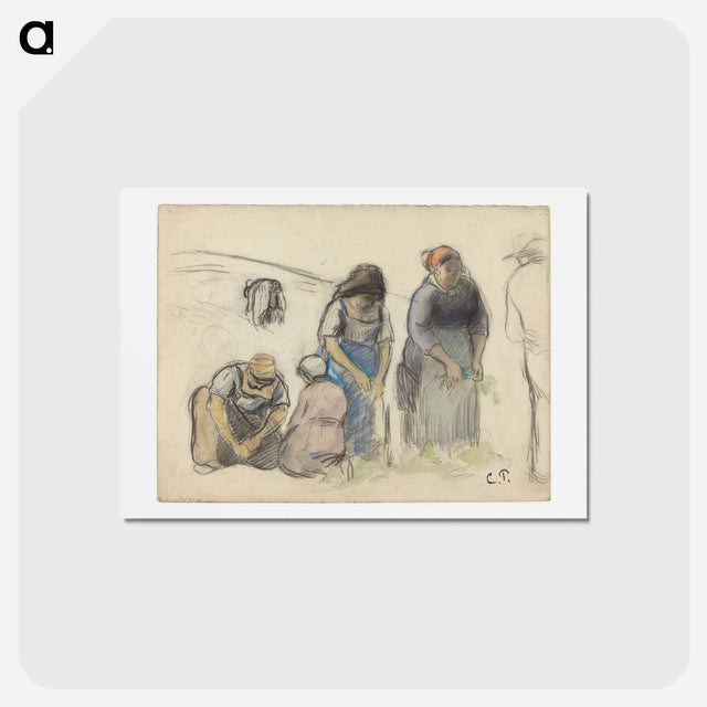 アートポストカード-Pea Harvesters - カミーユ ピサロ Postcard.