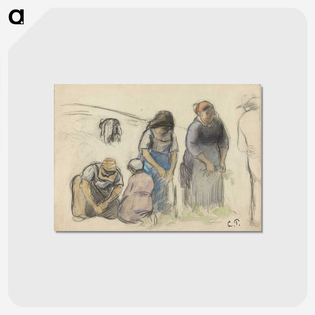 3-3_Camille-Pissarro_postcard