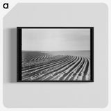 3-3_Dorothea-Lange_blk-crop