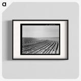 3-3_Dorothea-Lange_blk