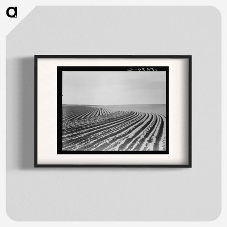 3-3_Dorothea-Lange_blk