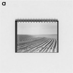 アートメモ帳-Contour plowing on mechanized farm of the Texas Panhandle - ドロテア ラング Memo.
