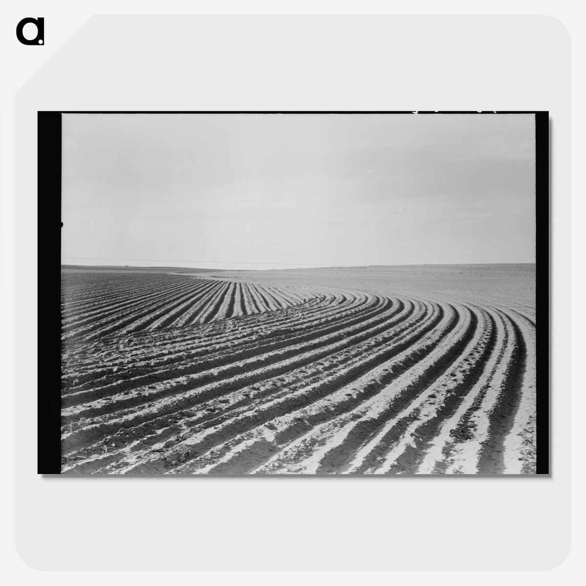3-3_Dorothea-Lange_picture-crop