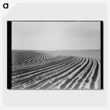 3-3_Dorothea-Lange_picture-crop