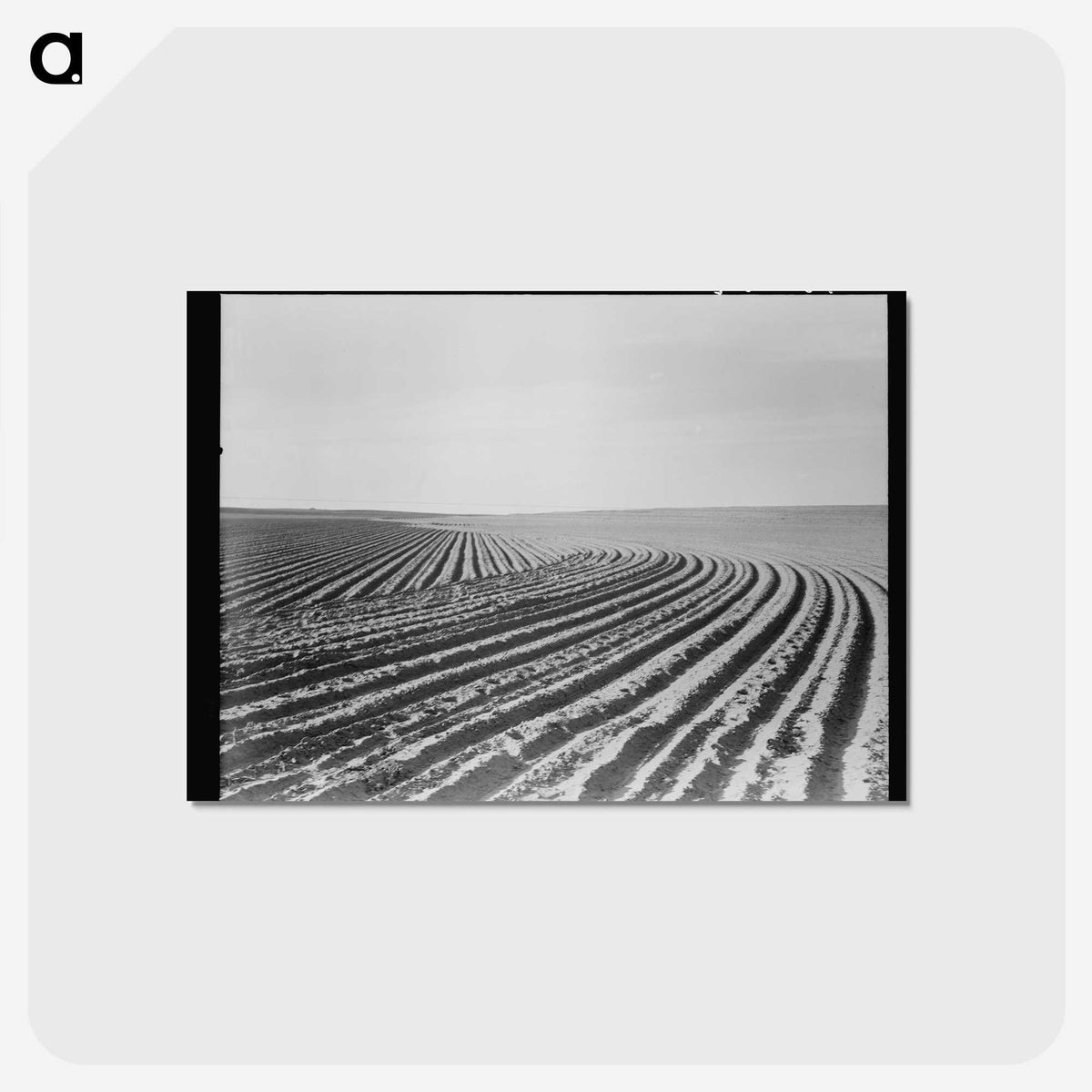 3-3_Dorothea-Lange_postcard