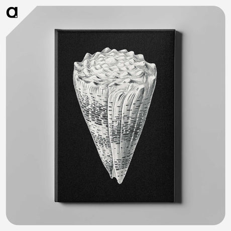 3-3_Ernst-Haeckel_canvas