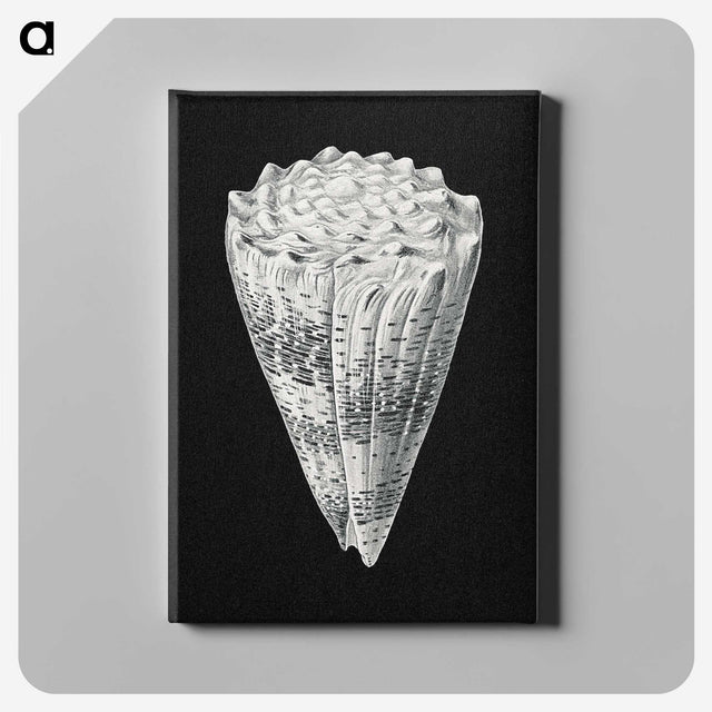 3-3_Ernst-Haeckel_canvas