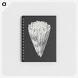 3-3_Ernst-Haeckel_memo