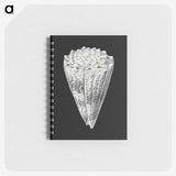3-3_Ernst-Haeckel_memo