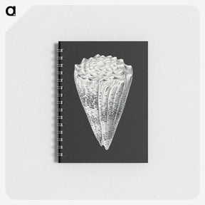 3-3_Ernst-Haeckel_memo