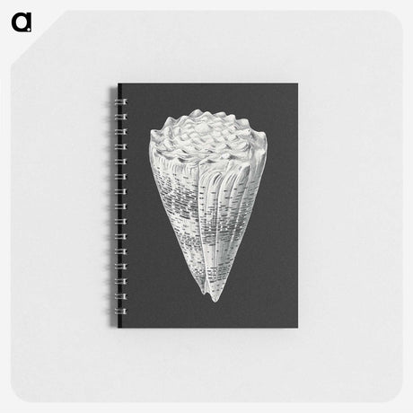 3-3_Ernst-Haeckel_memo