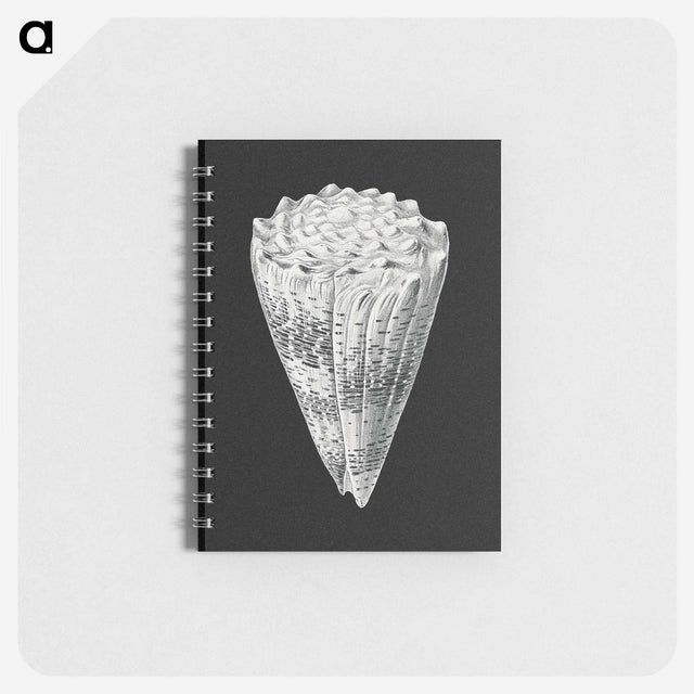 3-3_Ernst-Haeckel_memo