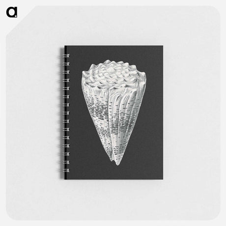 アートメモ帳-Vintage shell marine life illustration - エルンスト ヘッケル Memo.