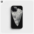 3-3_Ernst-Haeckel_phone