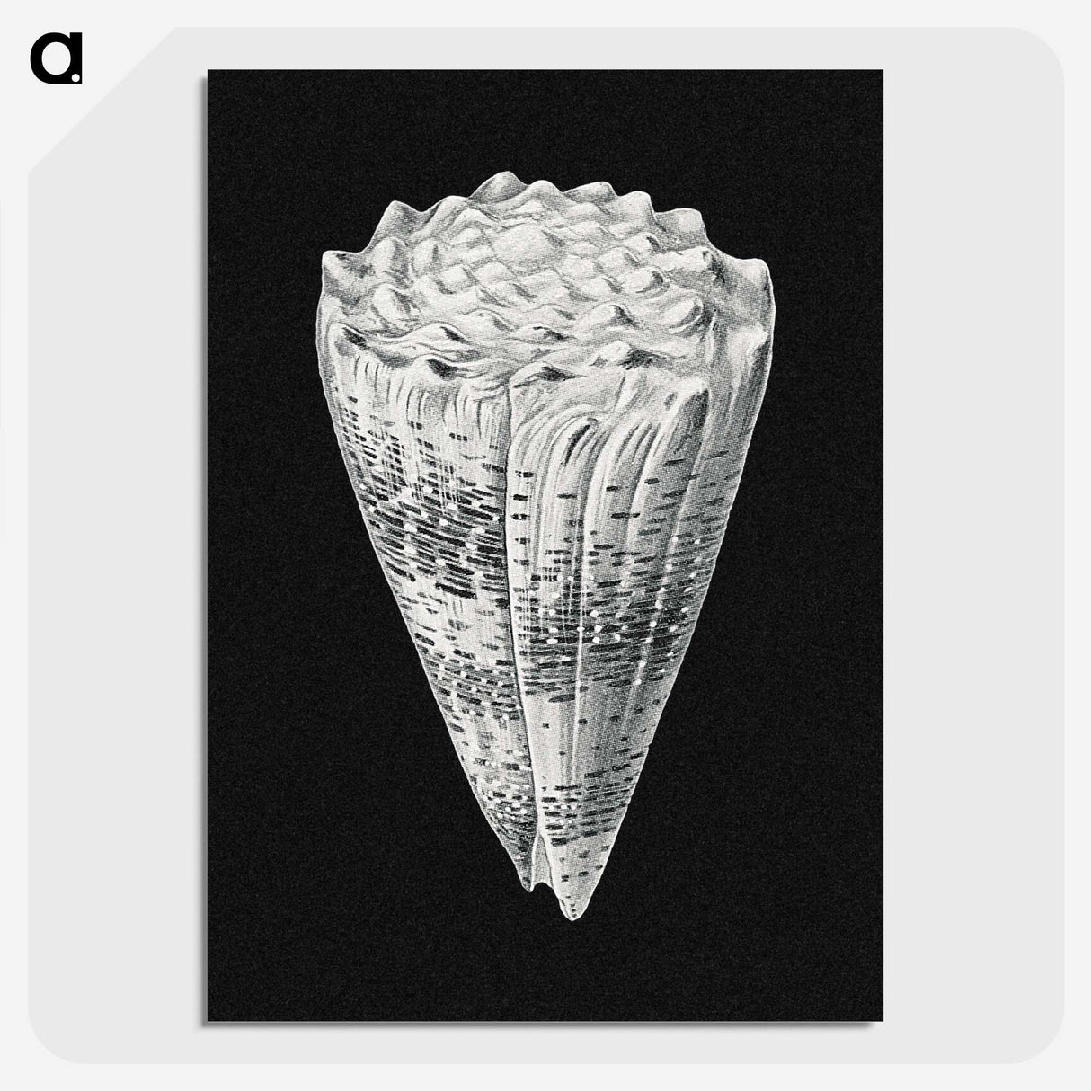 3-3_Ernst-Haeckel_picture-crop