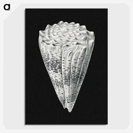 3-3_Ernst-Haeckel_picture-crop