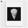 3-3_Ernst-Haeckel_picture