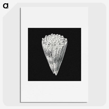 3-3_Ernst-Haeckel_picture
