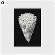 3-3_Ernst-Haeckel_postcard