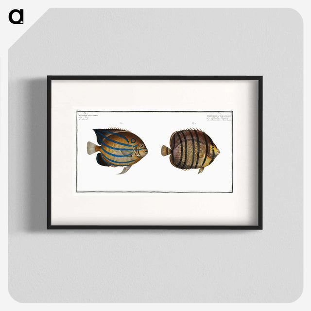 3-3_Ichtyologie-ou-Histoire-naturelle_blk