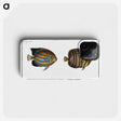 3-3_Ichtyologie-ou-Histoire-naturelle_phone