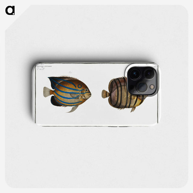 3-3_Ichtyologie-ou-Histoire-naturelle_phone