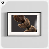 3-3_Insects-Unlocked-Project_blk