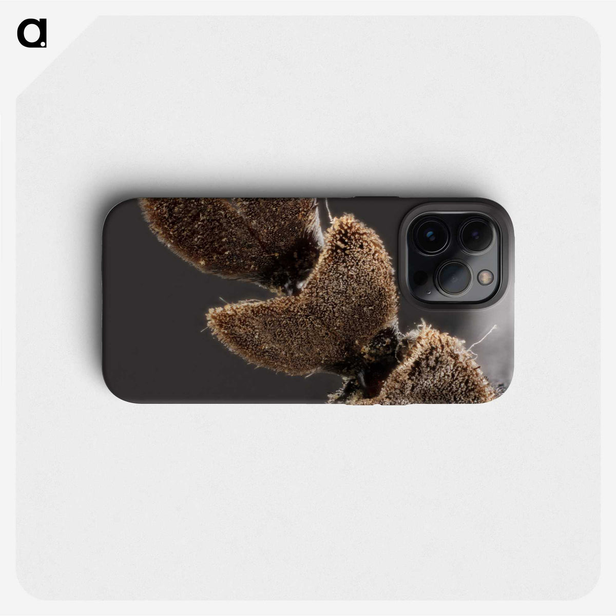 3-3_Insects-Unlocked-Project_phone
