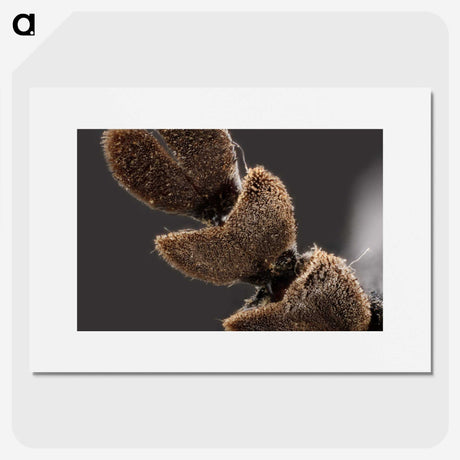 3-3_Insects-Unlocked-Project_picture
