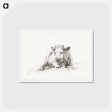 アートポストカード-Lying cow - ジャン ベルナール Postcard.