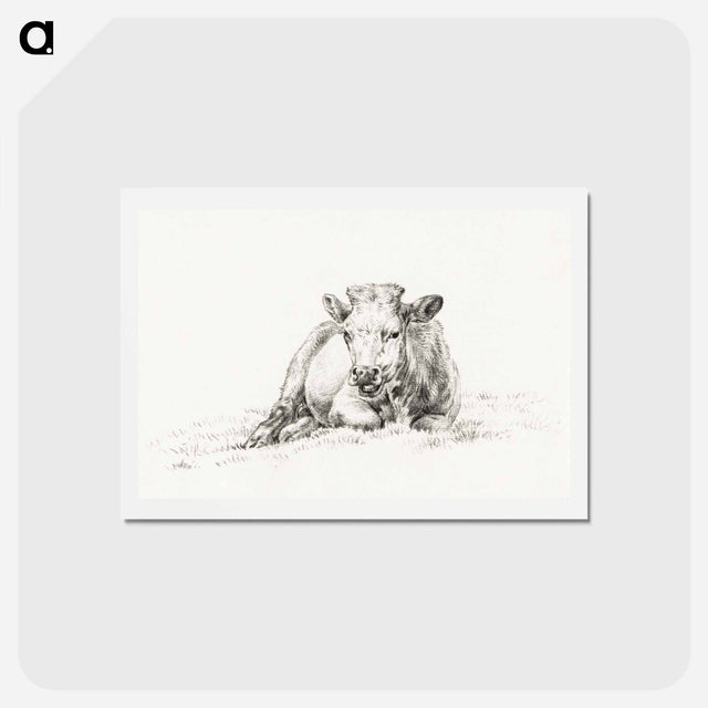 アートポストカード-Lying cow - ジャン ベルナール Postcard.